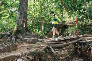 BIB: 
                            <button type="button" onclick="openModal(27558332)" class="btn btn-primary btn-sm float-right btn-popup" data-toggle="modal" data-target=".modal-high-quality">
                        <i class="fas fa-shopping-cart"></i> Add to Cart
                    </button>
                                            <button type="button" onclick="isThisMe(27558332, true)" class="btn btn-success btn-sm float-right btn-popup btn-isme hidden" data-toggle="tooltip" data-placement="bottom" title="นี่คือรูปของคุณใช่ไหม คลิกที่นี่เพื่อเอาเข้าอัลบั้ม">
                        <i class="fas fa-plus"></i> Add to album
                    </button>
                    <button type="button" onclick="isThisMe(27558332, false)" class="btn btn-warning btn-sm float-right btn-popup btn-isnotme hidden">
                        <i class="fas fa-ban"></i> Remove from album
                    </button>